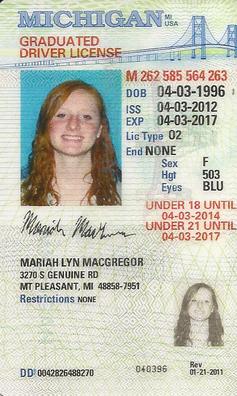 how many points are on my license mi